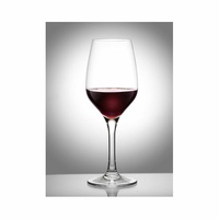 Poly Carb Wine Glass